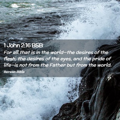 Picture 02 - 1 John 2:16 BSB - For all that is in the world—the desires of the - Bible Verse Picture
