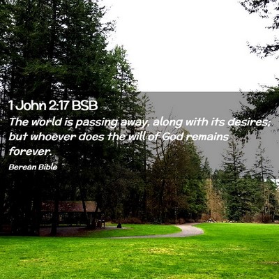 Picture 02 - 1 John 2:17 BSB - The world is passing away, along with its - Bible Verse Picture
