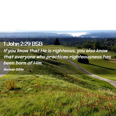 Picture 02 - 1 John 2:29 BSB - If you know that He is righteous, you also know - Bible Verse Picture