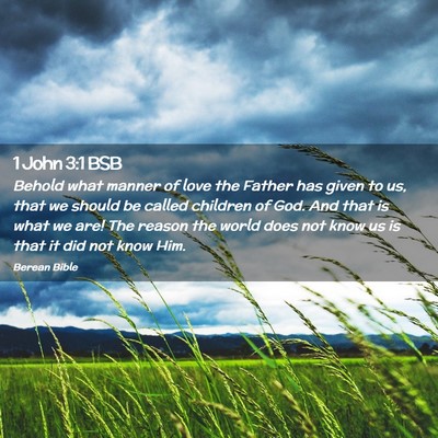 Picture 02 - 1 John 3:1 BSB - Behold what manner of love the Father has given - Bible Verse Picture