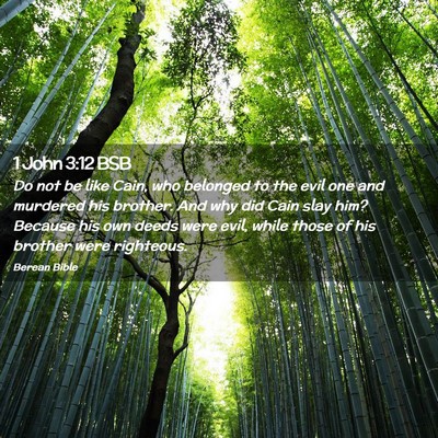Picture 02 - 1 John 3:12 BSB - Do not be like Cain, who belonged to the evil one - Bible Verse Picture