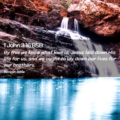 Picture 02 - 1 John 3:16 BSB - By this we know what love is: Jesus laid down His - Bible Verse Picture