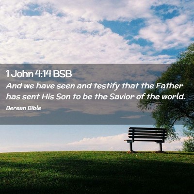 Picture 02 - 1 John 4:14 BSB - And we have seen and testify that the Father has - Bible Verse Picture
