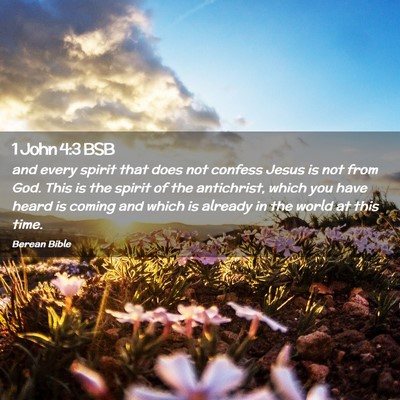 Picture 02 - 1 John 4:3 BSB - and every spirit that does not confess Jesus is - Bible Verse Picture