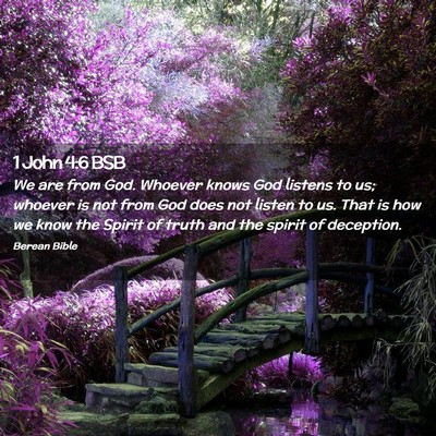 Picture 02 - 1 John 4:6 BSB - We are from God. Whoever knows God listens to us; - Bible Verse Picture
