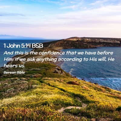 Picture 02 - 1 John 5:14 BSB - And this is the confidence that we have before - Bible Verse Picture