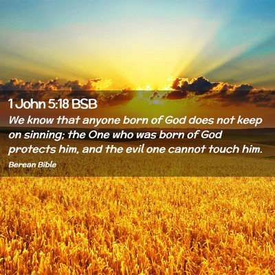 Picture 02 - 1 John 5:18 BSB - We know that anyone born of God does not keep on - Bible Verse Picture