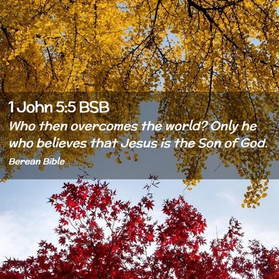 Picture 02 - 1 John 5:5 BSB - Who then overcomes the world? Only he who - Bible Verse Picture