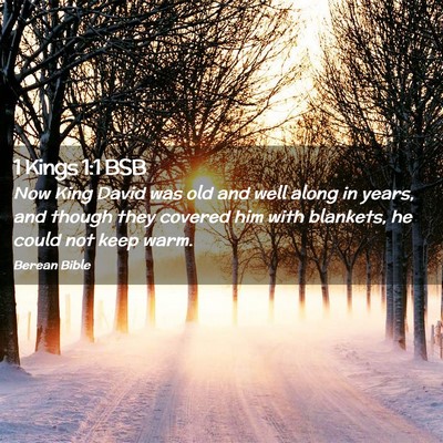 Picture 02 - 1 Kings 1:1 BSB - Now King David was old and well along in years, - Bible Verse Picture
