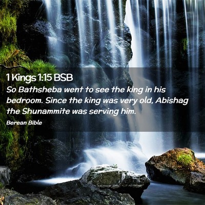 Picture 02 - 1 Kings 1:15 BSB - So Bathsheba went to see the king in his bedroom. - Bible Verse Picture