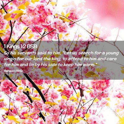 Picture 02 - 1 Kings 1:2 BSB - So his servants said to him, “Let us search for - Bible Verse Picture