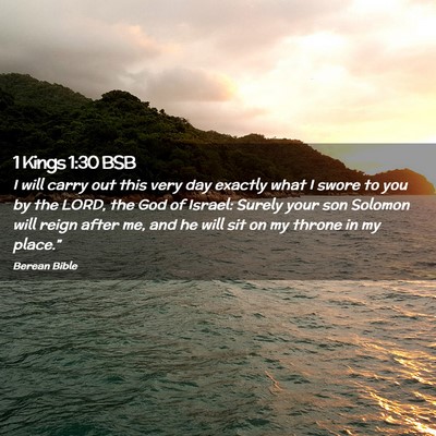 Picture 02 - 1 Kings 1:30 BSB - I will carry out this very day exactly what I - Bible Verse Picture