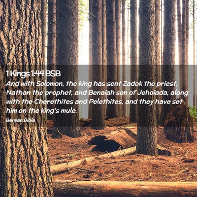 Picture 02 - 1 Kings 1:44 BSB - And with Solomon, the king has sent Zadok the - Bible Verse Picture