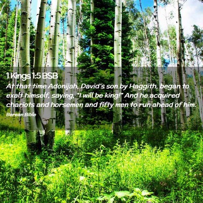 Picture 02 - 1 Kings 1:5 BSB - At that time Adonijah, David’s son by Haggith, - Bible Verse Picture