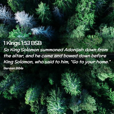 Picture 02 - 1 Kings 1:53 BSB - So King Solomon summoned Adonijah down from the - Bible Verse Picture