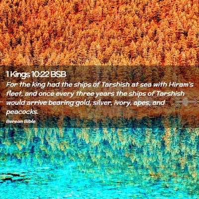 Picture 02 - 1 Kings 10:22 BSB - For the king had the ships of Tarshish at sea - Bible Verse Picture