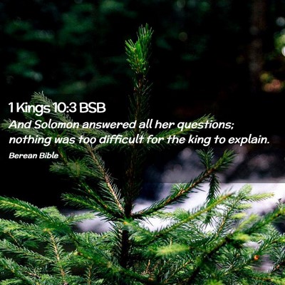 Picture 02 - 1 Kings 10:3 BSB - And Solomon answered all her questions; nothing - Bible Verse Picture