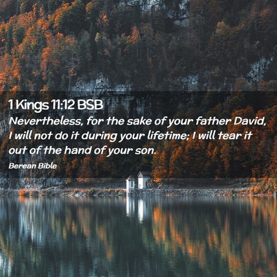 Picture 02 - 1 Kings 11:12 BSB - Nevertheless, for the sake of your father David, - Bible Verse Picture