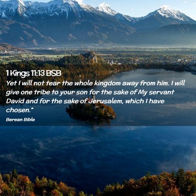 Picture 02 - 1 Kings 11:13 BSB - Yet I will not tear the whole kingdom away from - Bible Verse Picture