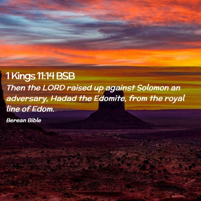 Picture 02 - 1 Kings 11:14 BSB - Then the LORD raised up against Solomon an - Bible Verse Picture