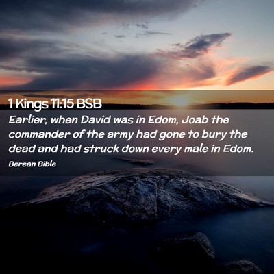 Picture 02 - 1 Kings 11:15 BSB - Earlier, when David was in Edom, Joab the - Bible Verse Picture