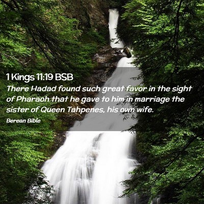Picture 02 - 1 Kings 11:19 BSB - There Hadad found such great favor in the sight - Bible Verse Picture