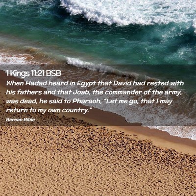 Picture 02 - 1 Kings 11:21 BSB - When Hadad heard in Egypt that David had rested - Bible Verse Picture