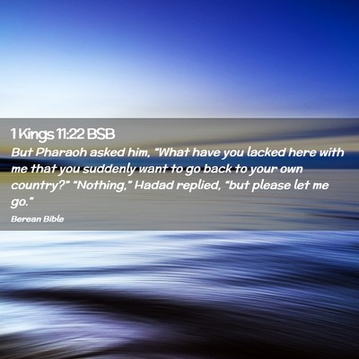 Picture 02 - 1 Kings 11:22 BSB - But Pharaoh asked him, “What have you lacked - Bible Verse Picture