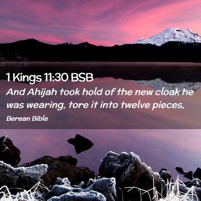 Picture 02 - 1 Kings 11:30 BSB - And Ahijah took hold of the new cloak he was - Bible Verse Picture