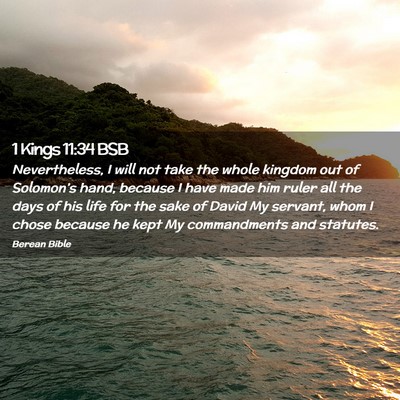 Picture 02 - 1 Kings 11:34 BSB - Nevertheless, I will not take the whole kingdom - Bible Verse Picture