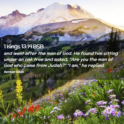Picture 02 - 1 Kings 13:14 BSB - and went after the man of God. He found him - Bible Verse Picture