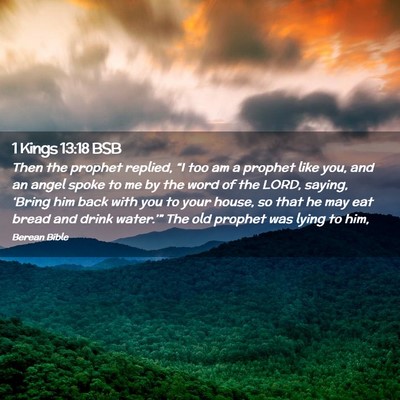 Picture 02 - 1 Kings 13:18 BSB - Then the prophet replied, “I too am a prophet - Bible Verse Picture