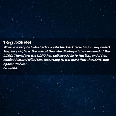 Picture 02 - 1 Kings 13:26 BSB - When the prophet who had brought him back from - Bible Verse Picture