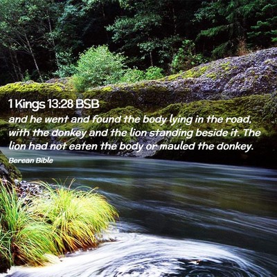 Picture 02 - 1 Kings 13:28 BSB - and he went and found the body lying in the road, - Bible Verse Picture