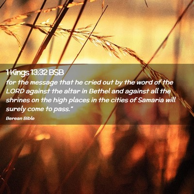 Picture 02 - 1 Kings 13:32 BSB - for the message that he cried out by the word of - Bible Verse Picture
