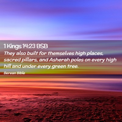 Picture 02 - 1 Kings 14:23 BSB - They also built for themselves high places, - Bible Verse Picture