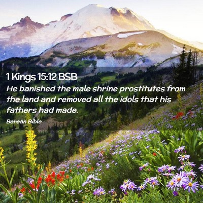 Picture 02 - 1 Kings 15:12 BSB - He banished the male shrine prostitutes from the - Bible Verse Picture