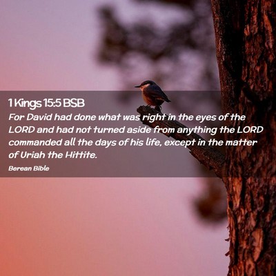 Picture 02 - 1 Kings 15:5 BSB - For David had done what was right in the eyes of - Bible Verse Picture