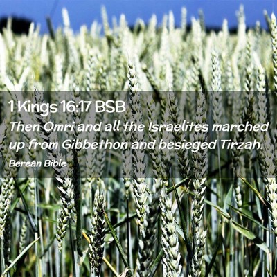 Picture 02 - 1 Kings 16:17 BSB - Then Omri and all the Israelites marched up from - Bible Verse Picture
