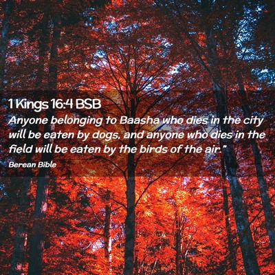Picture 02 - 1 Kings 16:4 BSB - Anyone belonging to Baasha who dies in the city - Bible Verse Picture