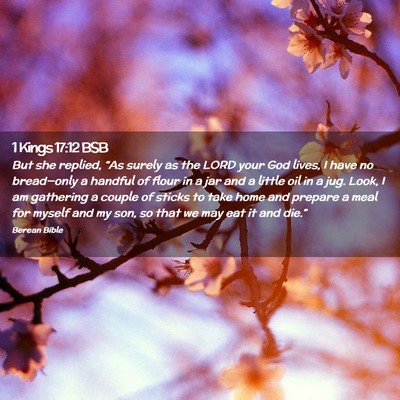 Picture 02 - 1 Kings 17:12 BSB - But she replied, “As surely as the LORD your - Bible Verse Picture