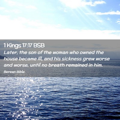 Picture 02 - 1 Kings 17:17 BSB - Later, the son of the woman who owned the house - Bible Verse Picture