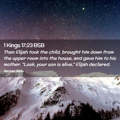Picture 02 - 1 Kings 17:23 BSB - Then Elijah took the child, brought him down from - Bible Verse Picture