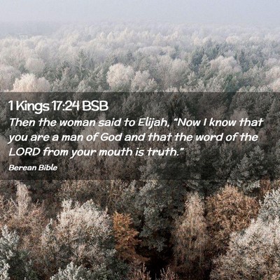 Picture 02 - 1 Kings 17:24 BSB - Then the woman said to Elijah, “Now I know that - Bible Verse Picture