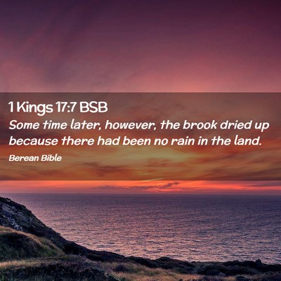 Picture 02 - 1 Kings 17:7 BSB - Some time later, however, the brook dried up - Bible Verse Picture