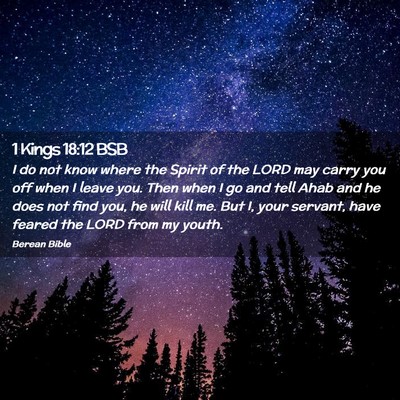 Picture 02 - 1 Kings 18:12 BSB - I do not know where the Spirit of the LORD may - Bible Verse Picture