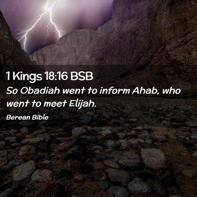 Picture 02 - 1 Kings 18:16 BSB - So Obadiah went to inform Ahab, who went to meet - Bible Verse Picture