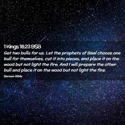 Picture 02 - 1 Kings 18:23 BSB - Get two bulls for us. Let the prophets of Baal - Bible Verse Picture