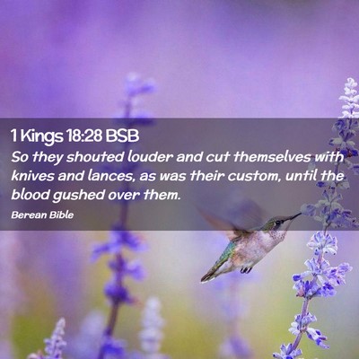 Picture 02 - 1 Kings 18:28 BSB - So they shouted louder and cut themselves with - Bible Verse Picture
