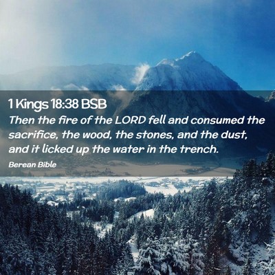 Picture 02 - 1 Kings 18:38 BSB - Then the fire of the LORD fell and consumed the - Bible Verse Picture